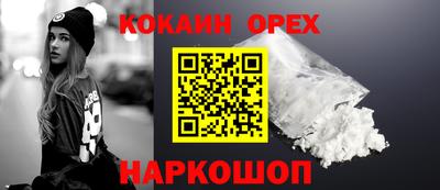 СК Сланцы